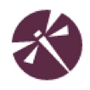 The Dragonfli Group logo