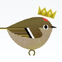 Dragonfly Chai logo