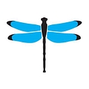 Favicon of Dragonfly Digital Marketing