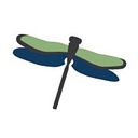 Dragonfly Psychological Associates logo