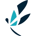 Dragonfly Therapy logo