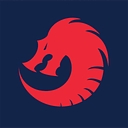 Dragon Security Systems logo