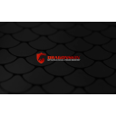 Dragon Skin logo