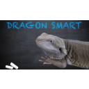 Dragon Smart
