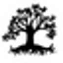 dragontreecbd.com logo