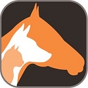 Dragon Veterinary Canada Ltd. logo