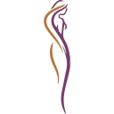 Stephen D. Bresnick, M.D., Inc. logo