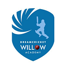 Dream Cricket