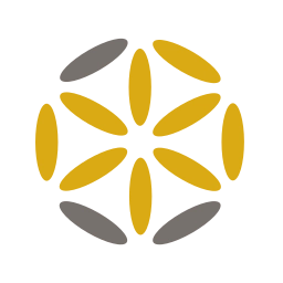 Dreamega