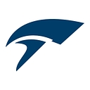Dreamhammer logo
