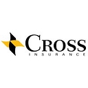 The Driscoll Agency, An Affiliate Of Cross Insurance logo