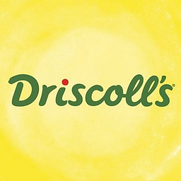 Driscolls logo