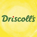 Driscolls logo