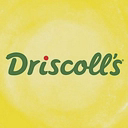 Driscolls logo