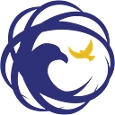 Drone America logo