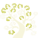 Dr. Woods logo