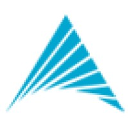 Dynamic Software Consultants, Inc logo