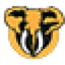 DSC FOUNDATION INC logo