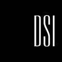 Development Solutions, Inc. logo