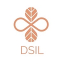 Dsil Global logo