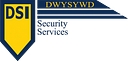 Dsi Security Services logo