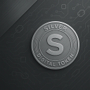 Dslv logo