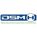 DSM-H Consulting logo