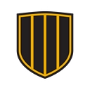 Dawson Stevens Duckett & Shaigec logo