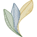 Digital Shape Technologies Inc. logo