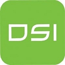 Dimensional Strategies Inc. logo