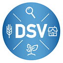 DSV Logo
