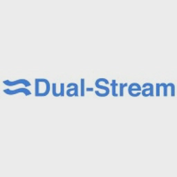 Dual-Stream Ltd logo