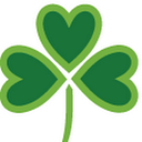 The Dublin Foundation logo