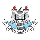 Dublin Gaa County Board logo