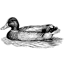 Duckhorn logo