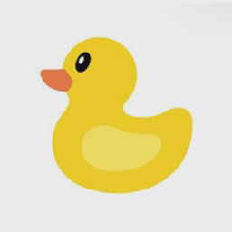 DUCK Software Limited logo