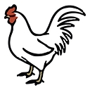 Duck's Poultry Service