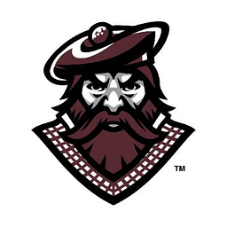 DUNDEE JUNIOR-SENIOR HIGH SCHOOL logo
