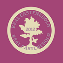 Dunedin Street Art Charitable Trust logo