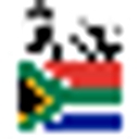 Durban Street Food logo