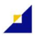 Durham Staffing Solutions logo