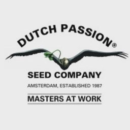 Logo of dutch-passion.com