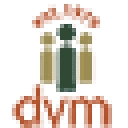 Dvm Management logo