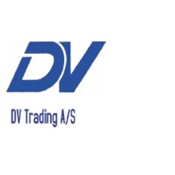DV Group, LLC logo