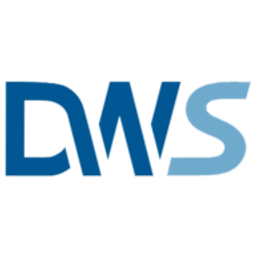 DW Solutions, LLC logo