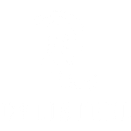 DYLI Steel Corporation logo