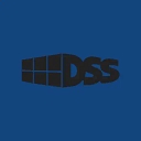 Dynamic Storage logo