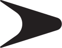 Dynamic Team Sports logo