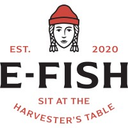 e-fish.com logo