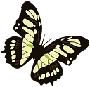 Em Group logo